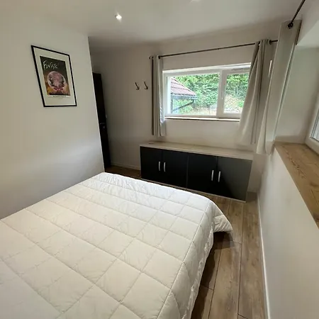 Le Belvedere Vue Lac, Piste De Σαλέ